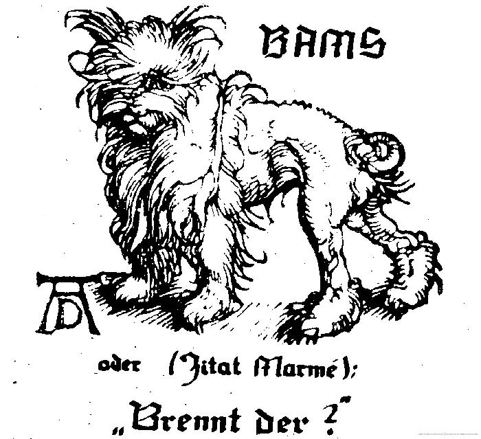 Bio20 BAMS war der in Spanien aufgegriffene Hund von Eberhard Rudloff.